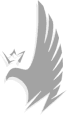 Services Section Background