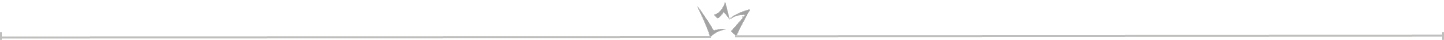 Tag Icon