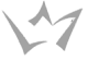 Tag Icon
